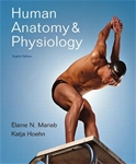 Human Anatomy & Physiology, 8th Edition
