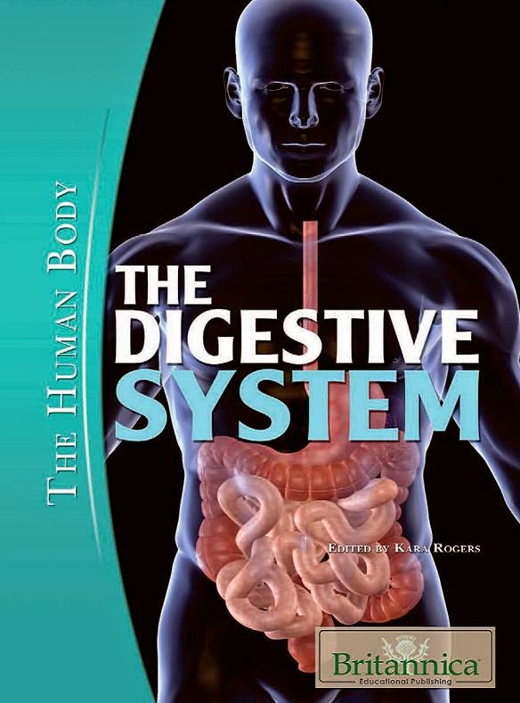 The Digestive System (The Human Body) by Kara Rogers
