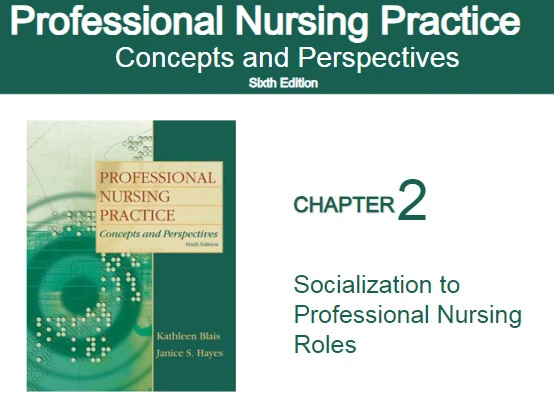 Thumbnail Socialization to Professional Nursing Roles